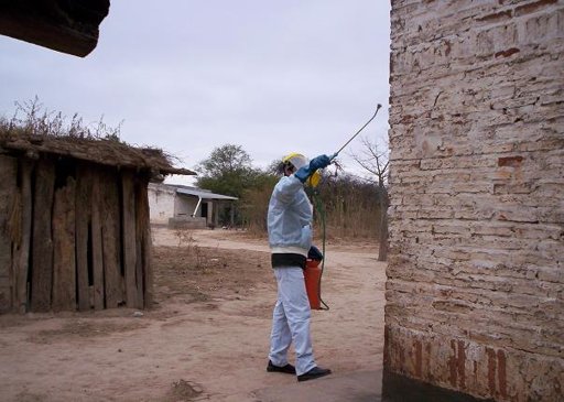 La fumigación propende a eliminar los criaderos del insecto vector que en sus heces lleva el trypanozoma cruzi