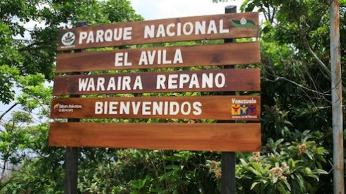 PARQUE-NACIONAL-WARAIRA-REPANO