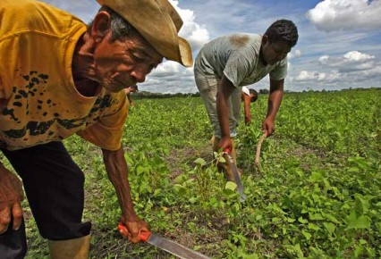 VENEZUELA-AGRARIAN REFORM