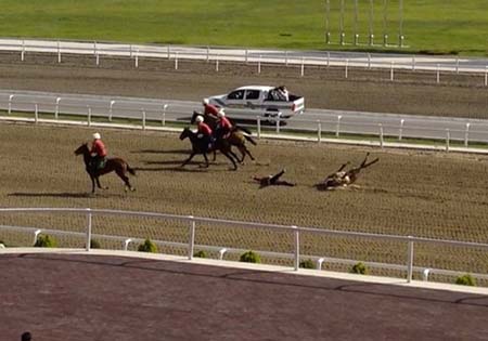 Un video obtenido por The Associated Press muestra un jinete que se cae cuando su caballo trastabilla al trasponer la meta en primer lugar. La prensa estatal reportó que Berdymukhamedov ganó la carrera.