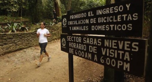 sabas nieves avila