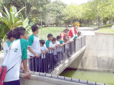 wNIÑOS PASEO1