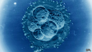 fertilizacion in vitro