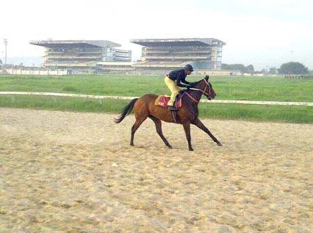 La yegua Chiquivalle es fija para varios pronosticadores a la altura de la tercera carrera de hoy 