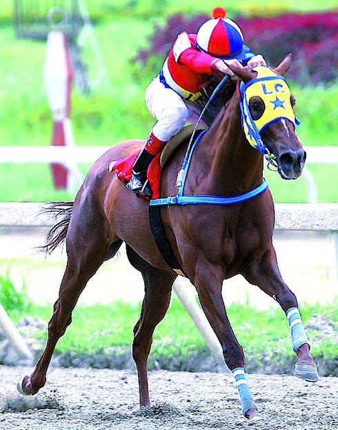 La yegua India Uribí (5ª carrera) correrá como favorita en el Clásico “Veseli” hoy en Santa Rita