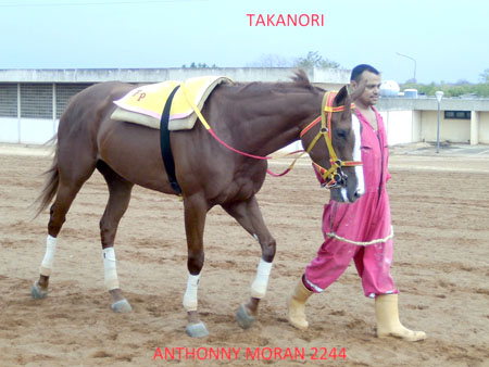 Takanori corre a la altura de la tercera de hoy