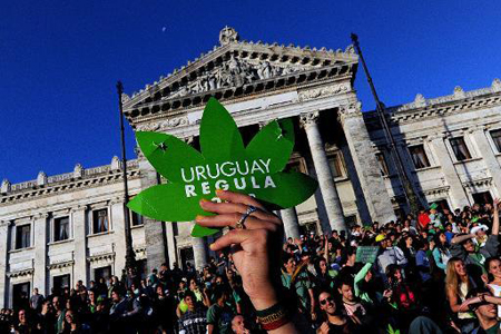  Activistas y consumidores de marihuana en Uruguay cuando celebraban su legalización frente al Palacio Legislativo. AFP / PABLO PORCIUNCULA