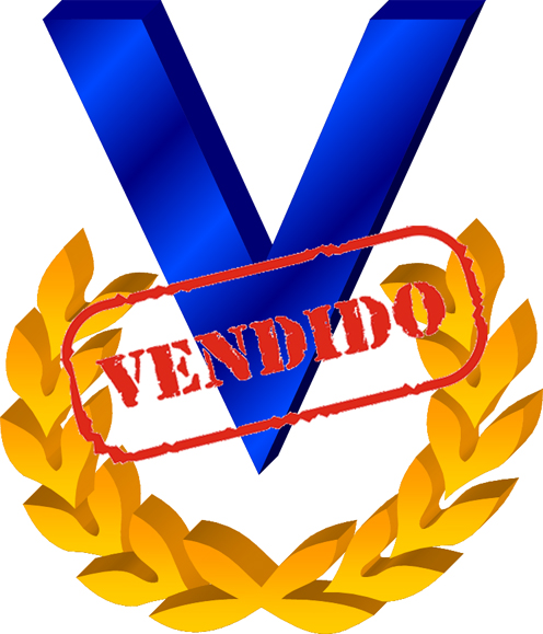 logo venevision