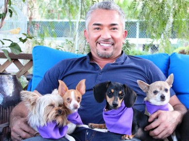 cesar millan