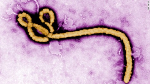 ebola-virus-structure-story-top