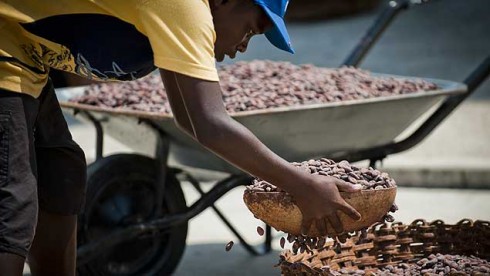 Si establecemos un plan serio de reactivación del aparato agrícola barloventeña, con un proceso industrial de transformación de la materias primas, nos vamos a levantar