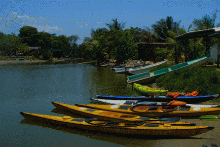 foto LagunaTacarigua La sequía ha afectado severamente a la Laguna de Tacarigua