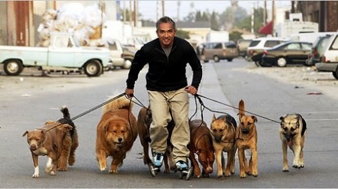 cesar millan