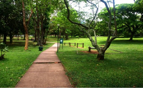 parque metropolitano