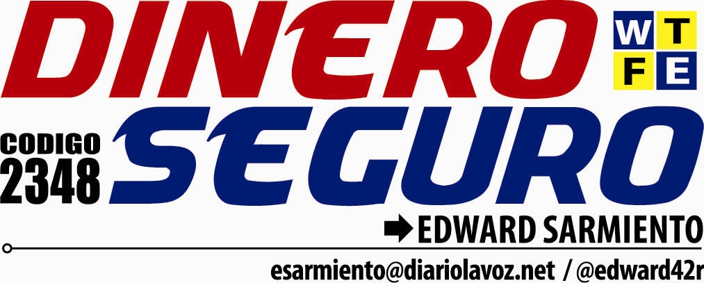 LOGO DINERO SEGURO