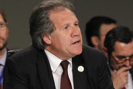 Luis-Almagro-Cumbre-Cádiz-e1353173052387