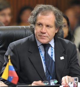 El Secretario General de la OEA invocó la Carta Democrática Interamericana para encarar la crisis por la cual atraviesa nuestro país AFP / Cris Bouroncle