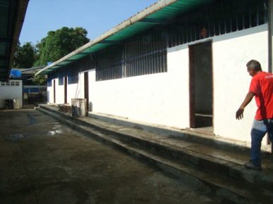 escuela estadal