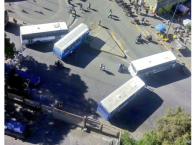 transportistas de palo verde