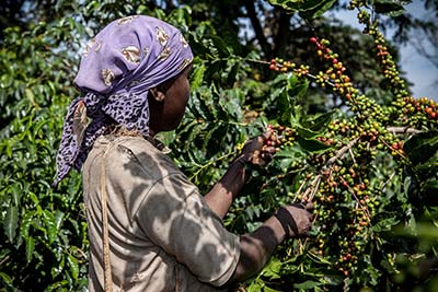 FOTO cafe-etiopia "Acordamos condenar todo acto de violencia contra la mujer y especialmente los asesinatos a las mujeres afrovenezolanas de Cumbo, Las Delicias y Sotillo..."