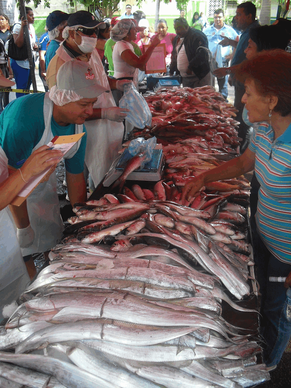 La Feria del Pescado llegó ayer a varias partes del país