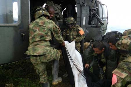 Entre enero y el 15 de diciembre de 2012, según el Ministerio de Defensa, las fuerzas del orden dieron muerte a 371 guerrilleros de las FARC. En el mismo período fueron capturados 2.647 miembros de esa guerrilla.