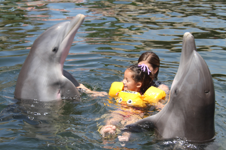 Las terapias con delfines sirven para el tratamiento de enfermedades, malformaciones o problemas de conducta en los niños