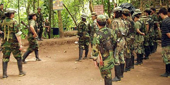 Las FARC plantea legalizar cultivos de droga