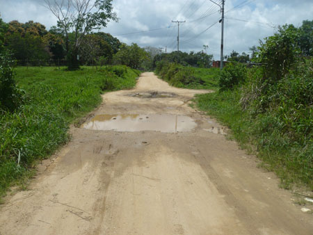 La gráfica evidencia el deterioro que presenta la vialidad hacia la urbanización Prado Largo.