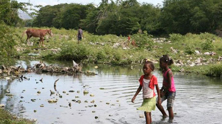 Organizaciones no gubernamentales y países miembros de la Comunidad del Caribe han tildado la medida como una falta a los Derechos Humanos