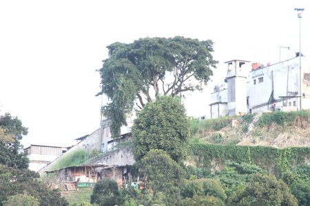 Vecinos del sector rechazaron la toma del terreno