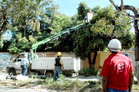 Personal voluntariado de Corpoelec dijo presente en Las Rosas y realizó jornada de pico y poda en Morojuan y Rosa Blanca