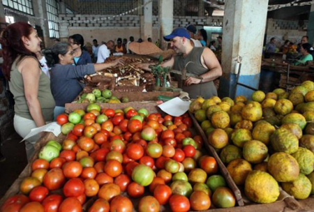 La medida debe favorecer la producción, la oferta en los mercados y la disminución de los precios