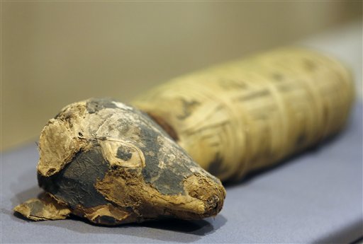Foto del 20 de marzo de 2014 de un perro momificado que es parte de la exhibición "Criaturas entrañables: Momias animales en el Antiguo Egipto", en el Museo Bowers del condado de Orange, en Santa Ana, California. (Foto AP/Damian Dovarganes)