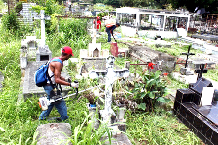 En la gráfica un aspecto de las instalaciones del cementerio municipal de Las Clavellinas