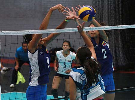 Siete conjuntos verán acción en el voleibol femenino