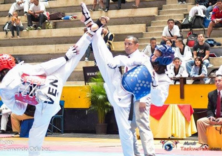 Un exitazo resultó el Open de Taekwondo Venezuela 2014, efectuado en el Parque Miranda