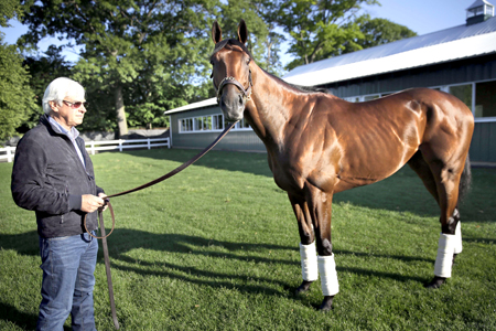 Bob Baffert presentó a American Phaorah a una sesión fotográfica al día siguiente de ganar el Belmont Stakes