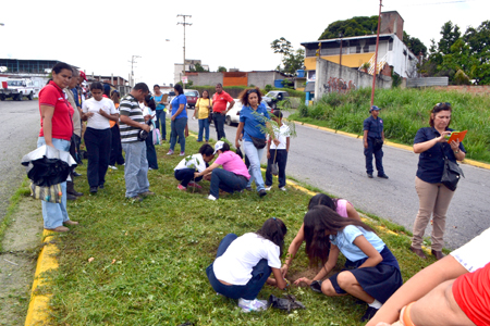 Momentos en que era llevada a cabo la siembra de 60 plantas forestales en una primera jornada, la cual se efectuó en el municipio Zamora