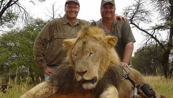Zimbabue exigió el viernes la extradición del cazador, Walter Palmer, un acaudalado dentista estadounidense que mató a Cecil.