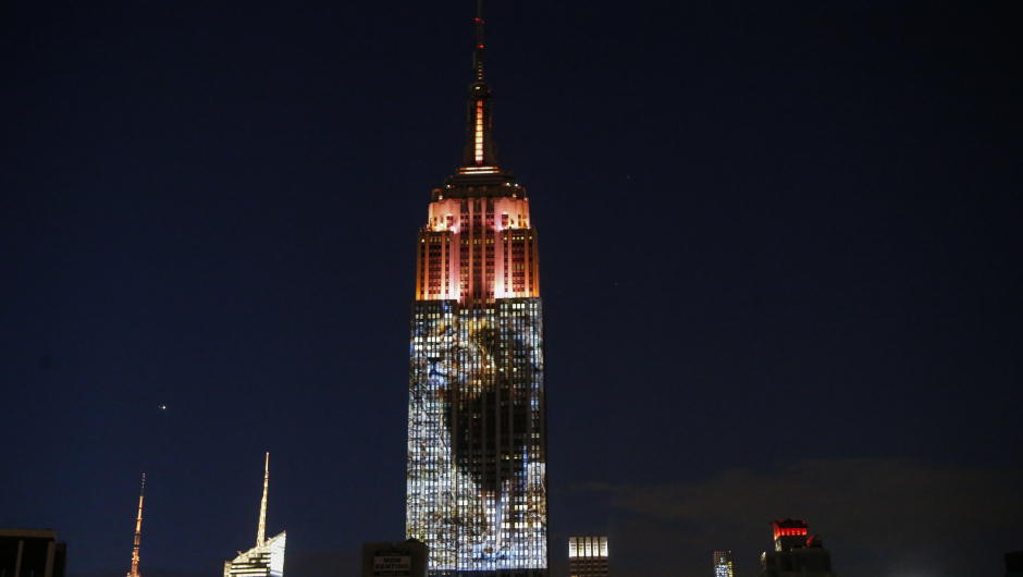 Cecil the lion from Zimbabwe that was killed by an American Dentist is projected on the Empire State Building, in the 'Projecting Change on the Empire State Building' project, made by the Oscar winning director and founder of Oceanic Preservation Society Louis Psihoyos and producer Fisher Stevens in New York on August 1, 2015. PHOTO/ KENA BETANCUR        (Photo credit should read KENA BETANCUR/AFP/Getty Images)