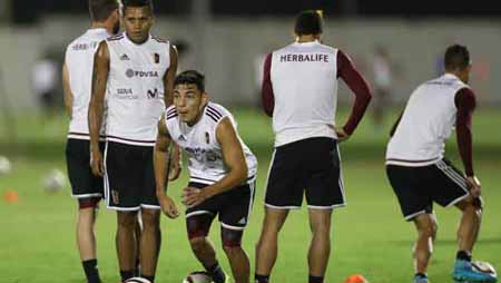 La selección Vinotinto espera recuperar el camino hoy frente a Ecuador