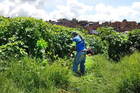 Los trabajos se realizan en toda Caracas