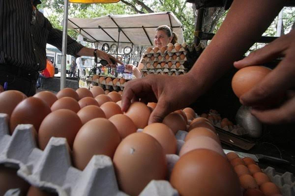 Para comprar un cartón de huevos hay que trabajar más de un mes