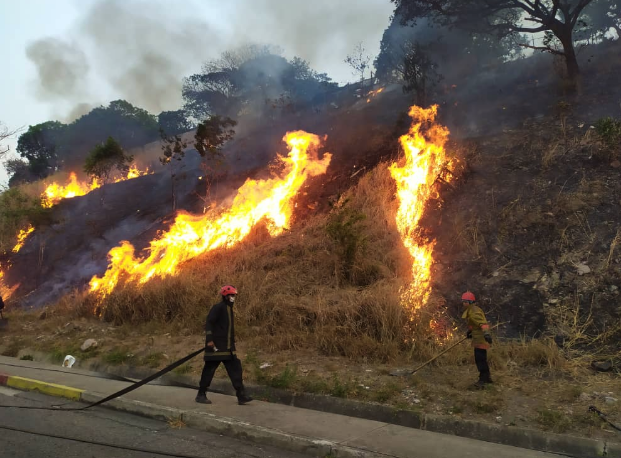 Las llamas fueron controladas con palas por los bomberos en el incendio ocurrido en El Llanito
