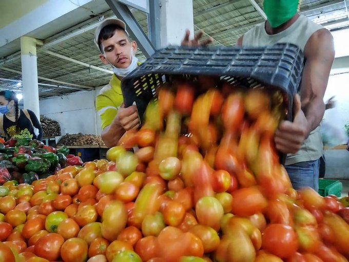 El precio del tomate sigue subiendo sin control