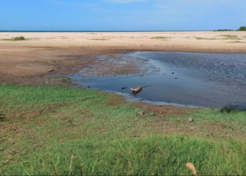 La salida al mar está totalmente cerrada por la arena