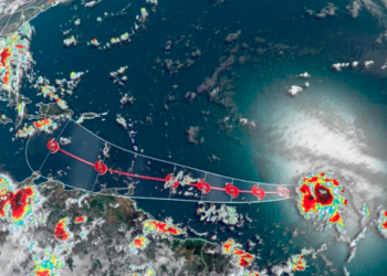 La tormenta tropical Gonzalo establece un récord mientras se mueve hacia el Caribe
CORTESIA / CNN