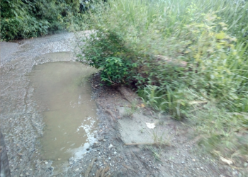 Este es el aspecto que lucen las vías de penetraciòpn a las zonas agrícolas de la parroquia Bolívar, en el municipio Zamora