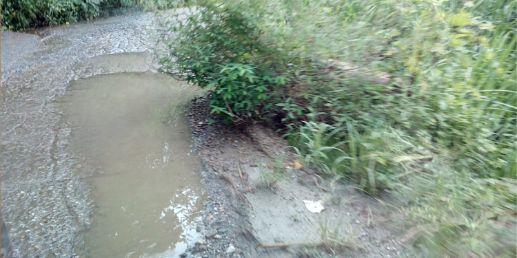 Este es el aspecto que lucen las vías de penetraciòpn a las zonas agrícolas de la parroquia Bolívar, en el municipio Zamora